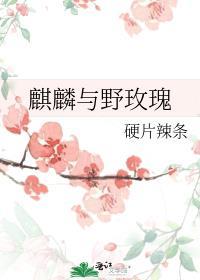 麒麟与野玫瑰最新章节更新内容