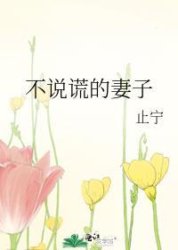 不说谎的妻子by止宁结局