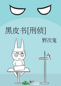黑皮书是啥