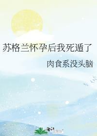 苏格兰perth