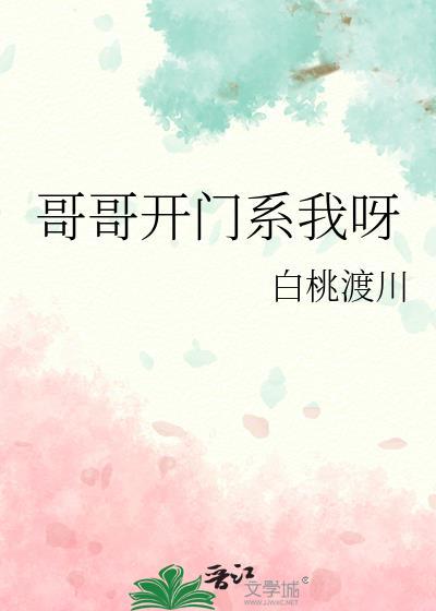 哥开门系我呀晋江