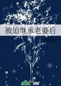 被迫继承老婆后原来叫什么