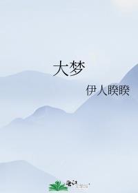 大梦谁先觉