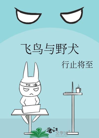 飞鸟与野犬全文免费阅读