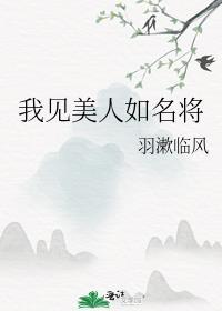 我见美人如名将讲的什么