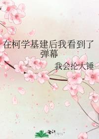 在柯学基建后我看到了弹幕TXT百度