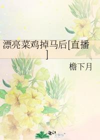 漂亮菜式图片大全