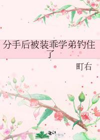 分手后被装乖学弟钓住了讲的什么