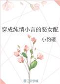 穿成纯情小言的恶女配晋江