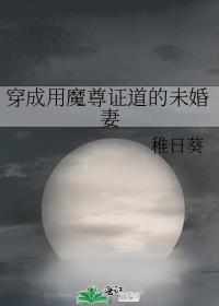 穿越成了魔尊妻主怎么办