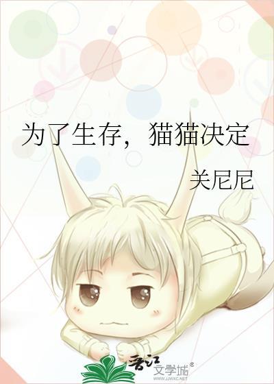 猫猫决定番