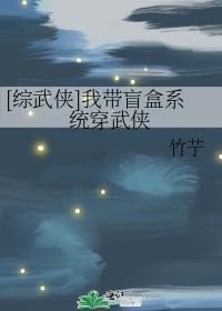 综武侠我带盲盒系统穿武侠百
