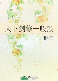 天下剑宗评价