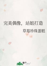 完美偶像娱乐圈