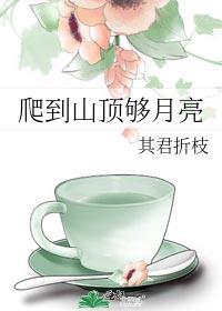 爬到山顶够月亮在线阅读