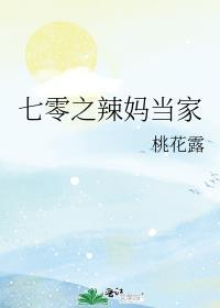 七零之辣妈当家TXT