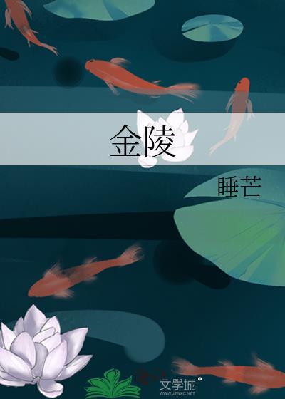 金陵之夜电影免费观看