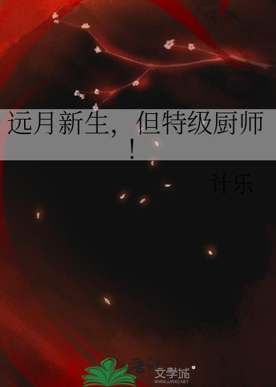 但特级厨师!作者计乐