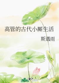 高管的古代小厮生活百度