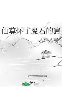 仙尊怀了魔君的崽晋江