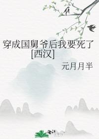 穿成国舅爷后我要死了西汉剧情