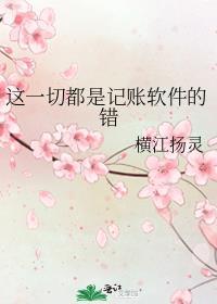 有一个记账软件叫什么