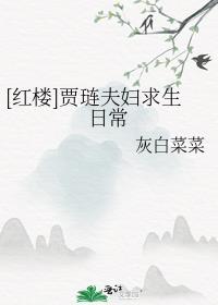 红楼贾琏夫妇求生日常TXT