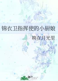 锦衣卫指挥使相当于现在什么官