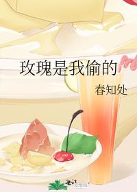 送你的玫瑰是我偷的