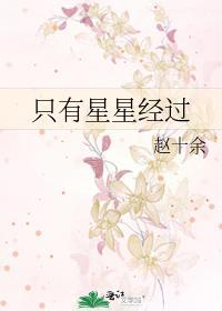 只有星星经过免全文费阅读