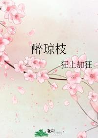 醉琼枝狂上加狂免费阅读趣笔阁