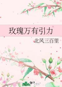 玫瑰引力txt资源
