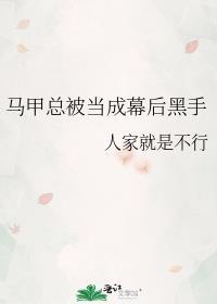 马甲文幕后黑手