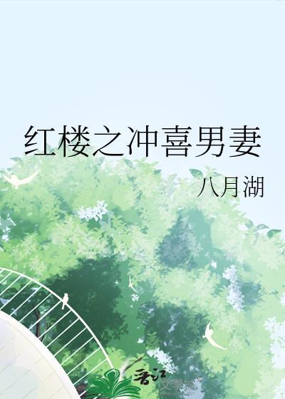 红楼之冲喜男妻百度