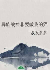 万人迷属性