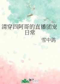 四阿哥的清穿