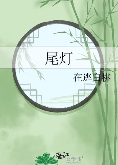 尾灯是什么意思