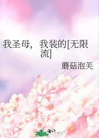 我圣母我装的无限流