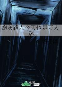 炮灰路人今天也是万人迷百度