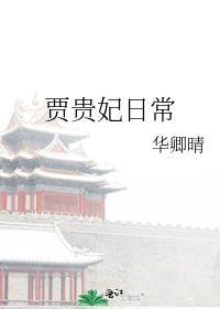 贾贵妃日常晋江