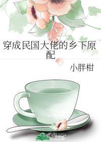 穿成民国大佬的乡下原配TXT小胖柑