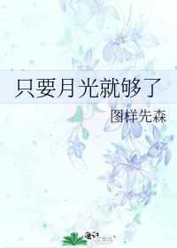 只要月光就够了讲的什么