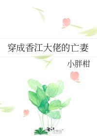 穿成香江大佬的亡妻百度