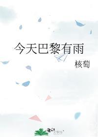 今天巴黎有雨番外