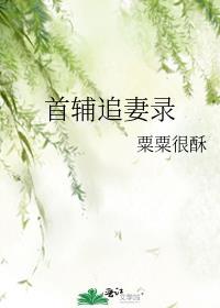首辅夫人追夫手札免费