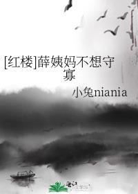 红楼梦里的薛姨妈是个什么样的人