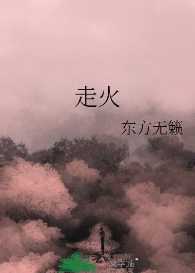走火大结局