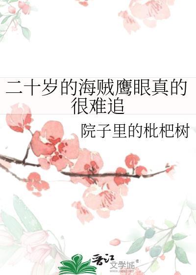 鹰眼海贼王小时候