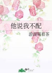 他说我不配txt免费阅读