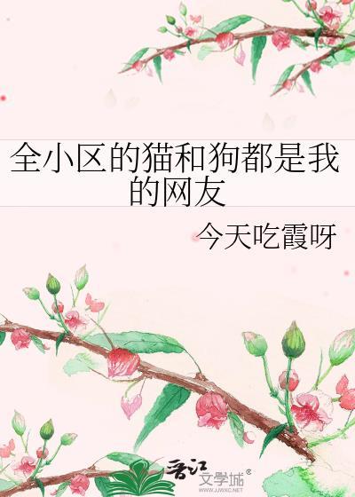 全小区都认识我的狗